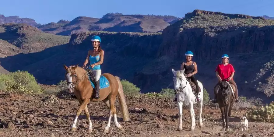 Paseos en caballo y camello en Gran Canaria